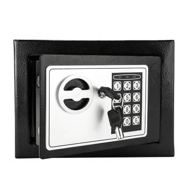 SentrySafe Safe Box Lock & Reviews | Wayfair